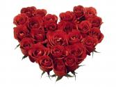 Are you solo on valentine's day...